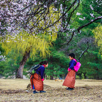 Những khoảnh khắc tuyệt đẹp ở mảnh đất huyền bí Bhutan