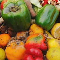 Thực phẩm bẩn - Đường ngắn nhất từ dạ dày đến nghĩa trang