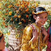 Nắng dát vàng Hà Giang những ngày đầu đông