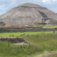 Bộ tộc Mexico cổ đại nuôi báo sư tử bằng thịt người