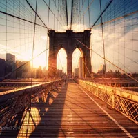 Những bức ảnh Lens Flare tạo nên hiệu ứng ánh sáng thú vị