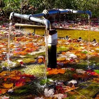 Bí ẩn những dòng suối có khả năng "cải tử hoàn sinh"?