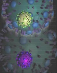 Virus 1918 chính là cúm gà