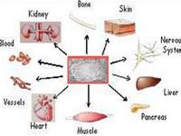 Hội nghị quốc tế về tế bào gốc