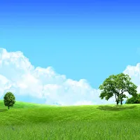 “Xoắn não” với những câu hỏi tưởng dễ nhưng 99% mọi người bó tay