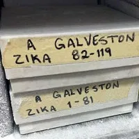 Phải 10 năm nữa mới có vaccine đặc chủng dành cho virus Zika