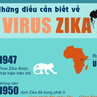 Virus gây teo não bào thai nguy hiểm thế nào?