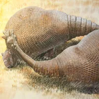 Tatu kỷ Băng Hà to bằng xe ôtô