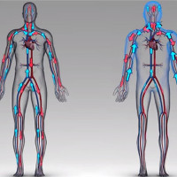 Chiều cao của phi hành gia tăng 5cm sau 1 năm sống trên vũ trụ