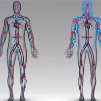 Chiều cao của phi hành gia tăng 5cm sau 1 năm sống trên vũ trụ
