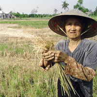 Thiên tai nghiêm trọng nhất 100 năm đang hoành hành miền Tây