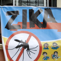 Virus Zika xuất hiện tại Lào, các cửa khẩu ở Quảng Trị đề phòng