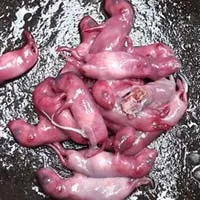 Top 15 món ăn "khó nuốt" nhất thế giới, bạn có dám thử?