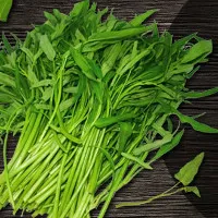 Cách nhận biết rau sạch và rau tồn dư nhiều hóa chất