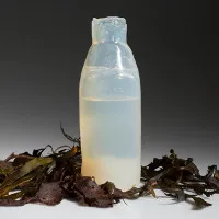 Ý tưởng chai nước làm từ thạch, phân hủy ngay sau khi sử dụng