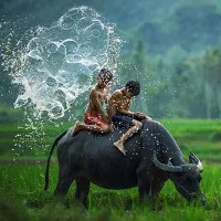 Ngỡ ngàng với bộ ảnh đồng quê Malaysia tuyệt đẹp đậm chất Việt Nam