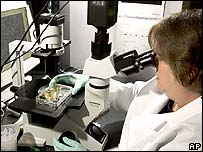 Cân nhắc việc cắt kinh phí nghiên cứu tế bào gốc