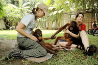 Bàn giao 2 con đười ươi quý hiếm về Indonesia