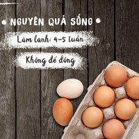 Thời hạn và cách bảo quản trứng, sữa