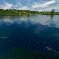 Biến đổi khí hậu đã nhấn chìm 5 đảo trên Thái Bình Dương