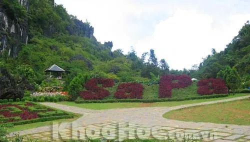 "Thiên đường" Sapa