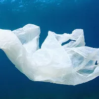 Phát hiện thêm một loại vi khuẩn "ăn" nhựa mới