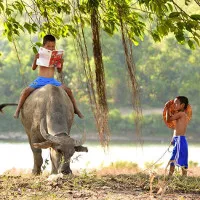 Trở về tuổi thơ với bộ ảnh "Trẻ mục đồng xứ Nghệ"