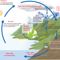 Vòng tuần hoàn của nước trong tự nhiên