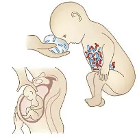 Kháng sinh ảnh hưởng nghiêm trọng đến sự phát triển của trẻ nhỏ