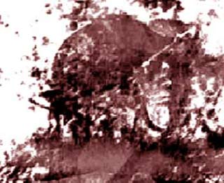 Có thể chụp ảnh quá khứ?