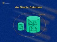 Sai sót trong hệ thống bảo vệ mật khẩu Oracle