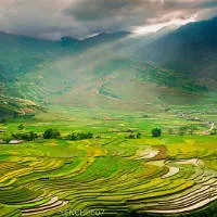 Ngày hè trên miền sơn cước Mù Cang Chải