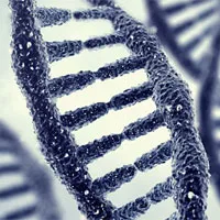 Nên kiểm tra gene để đoán bệnh Alzheimer từ lúc còn trẻ