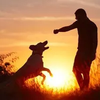 Phát hiện động trời về "thần giao cách cảm" giữa người và thú