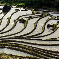 Tuyệt tác ruộng bậc thang Hoàng Su Phì mùa nước đổ