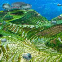 "Khách sạn bay" giúp du khách thăm thú mọi nơi