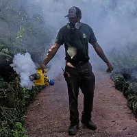 FDA cho phép dùng muỗi biến đổi gene để chống dịch Zika tại Mỹ