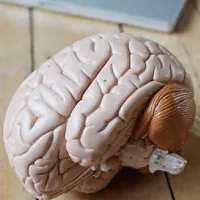 Khả năng sống bất tử trong thế giới ảo của con người
