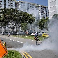 Virus Zika ở Singapore có thể tiến hóa từ chủng cách đây 60 năm