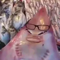 Cá mập mặt người sa lưới ngư dân Thổ Nhĩ Kỳ