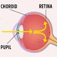 Tại sao khi chụp ảnh mắt của bạn lại 