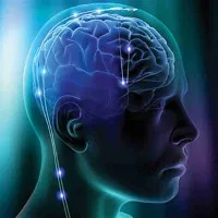 Đã có cách lấy lại khả năng học hỏi "năng suất" như trẻ em