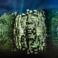 Kinh ngạc bộ tranh "vẽ” trên cây trong rừng Amazon