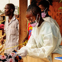 Virus Ebola có thể lây nhiễm mà không biểu hiện triệu chứng bên ngoài