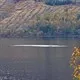 Bức ảnh cho thấy quái vật vui đùa dưới hồ Loch Ness?