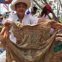 Hài cốt ông lão "mình đồng da sắt" Thái Lan gây sửng sốt