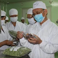 Bảo quản nông sản bằng "lai ghép" công nghệ sấy