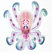 Robot bằng silicone dẻo hoạt động không cần pin