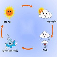 Khi nào những đám mây sẽ biến thành mưa?