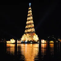 Những cây thông Noel “độc” nhất Giáng sinh 2016